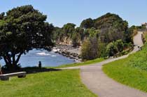 タラナキ　英語学校